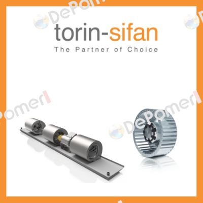 Torin-Sifan