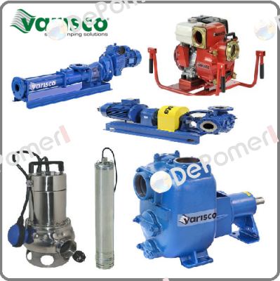 10005895 Varisco pumps