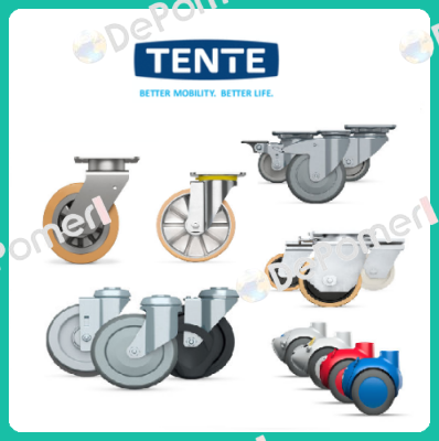 9950FTP150P65 (Teilenummer: 00803669-GS) Tente