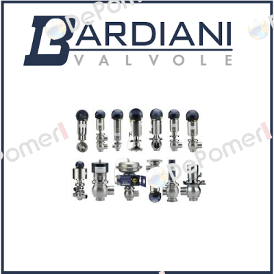 DN 50 ZP THREE-WAY VALVE MAINTENANCE KIT  Bardiani Valvole