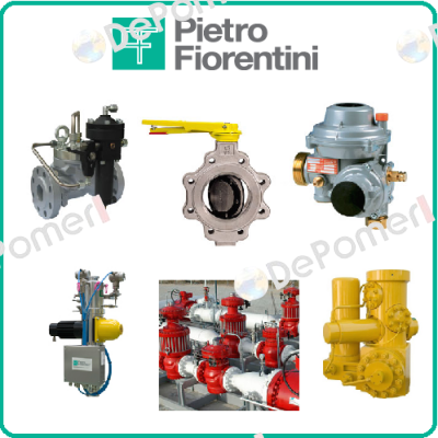 Omega VI Rotary Gas Meter  Pietro Fiorentini