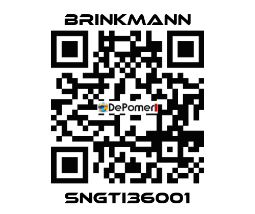 SNGTI36001 Brinkmann