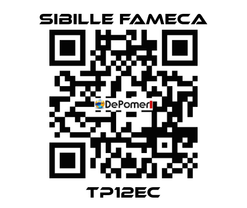 TP12EC Sibille Fameca