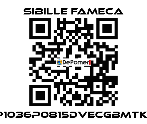 VDP1036P0815DVECGBMTKRI1T Sibille Fameca