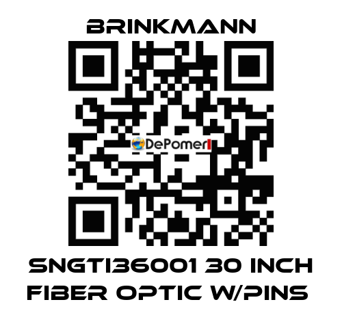 SNGTI36001 30 INCH FIBER OPTIC W/PINS  Brinkmann