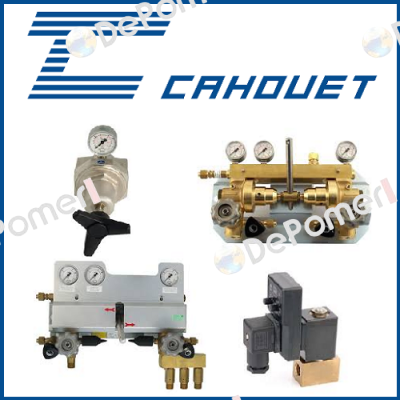 RV1101 Cahouet