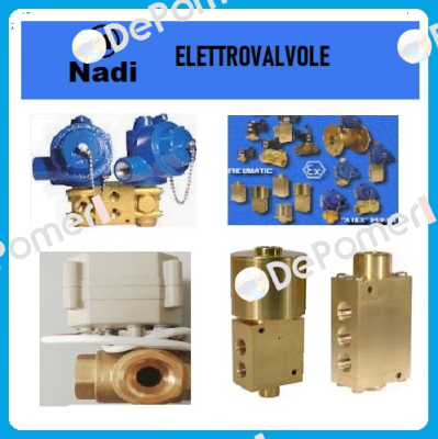 C28T60D0C/24VDC /NPT Nadi