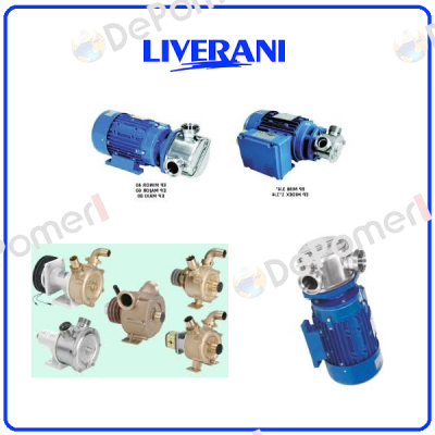 repair kit for pump 63412000 Liverani