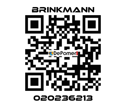 020236213 Brinkmann