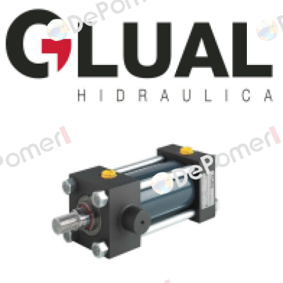 KD-100/70*1500-L001-N-1-1-20 Glual Hydraulics