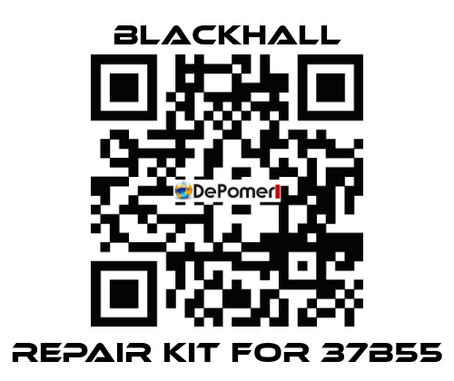 repair kit for 37B55 Blackhall