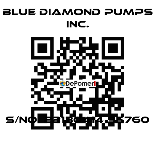 S/No. 22130414 35760 Blue Diamond Pumps Inc.