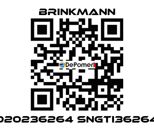 020236264 SNGTI36264 Brinkmann